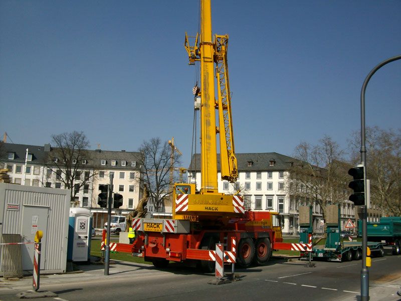 buga166.jpg